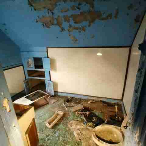 8031 conger (34).jpg